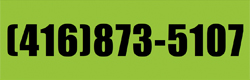 Call (416) 873-5107